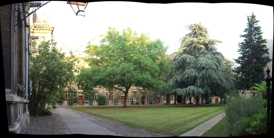 Tree Court, Gonville & Caius College