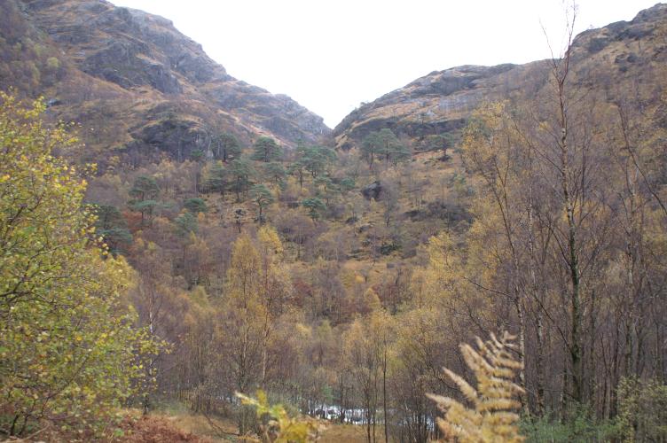 Upper Glen Nevis
