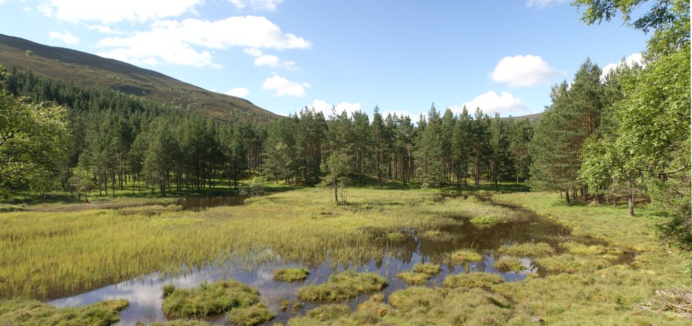 Pond in Corrie Feragie