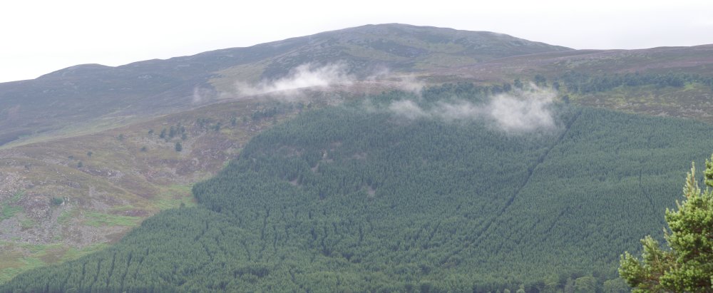 Clouds rising from the forest on Little Elrick