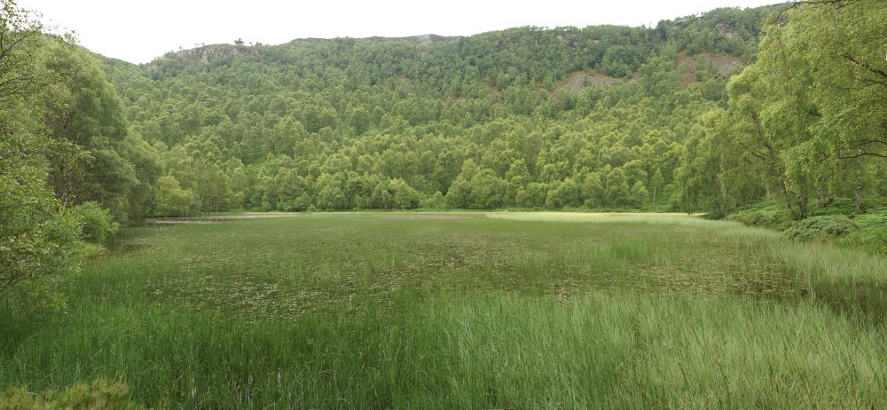 Pond above Aviemore