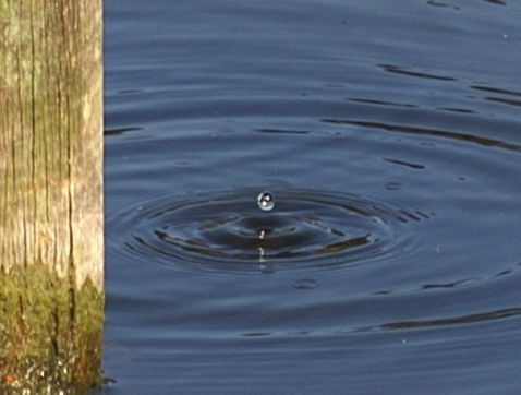 Look at what got captured in that photo, at 1/400th second exposure!