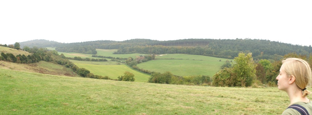 The view East from Pewley Down