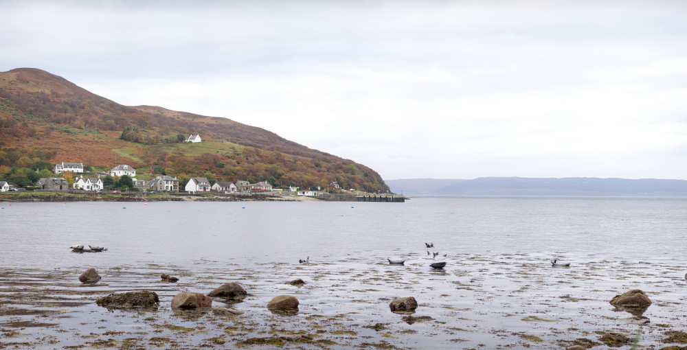 Lochranza, with seals on the rocks Lochranza, with seals on the rocks