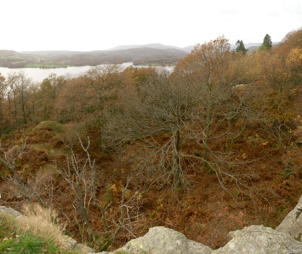 Windermere from Jenkin's Crag - fisheye view
