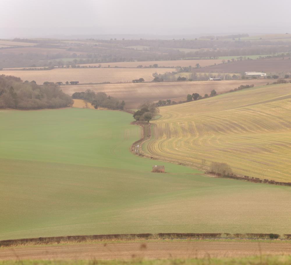 Zoom in on the farm building