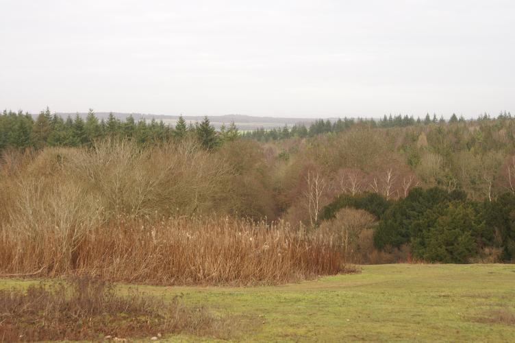 Looking down from the car parks