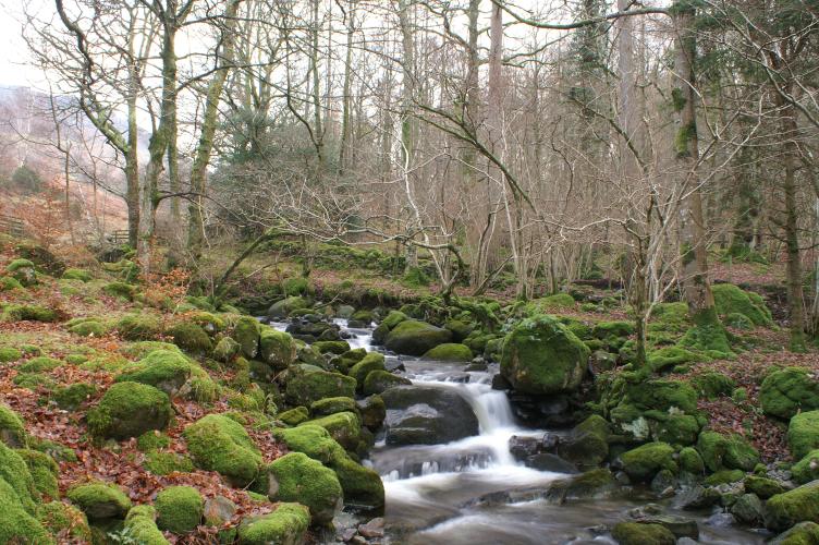 Stream above the waterfall