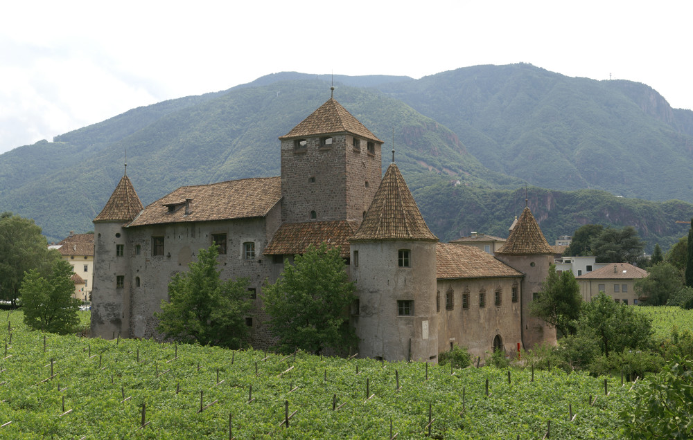 Old castle among vineyards