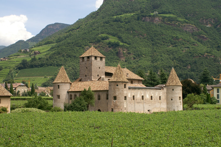 Old castle among vineyards