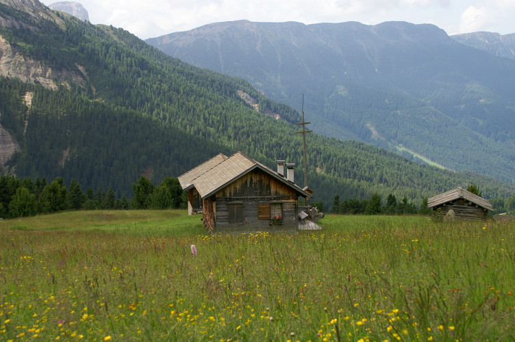 The hills are alive with the sound of music!