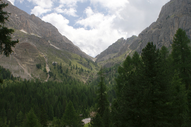 Our path goes up there