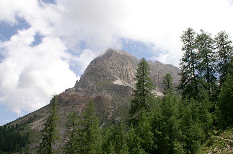 Tullen above the trees