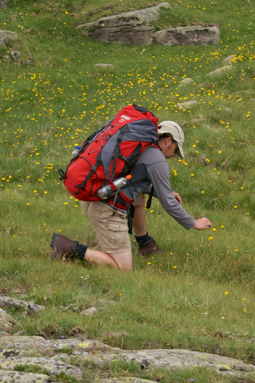 Daniel taking a close-up of a flower